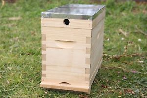 Bee Box Nucleus 5 Frame Flat Pack New Zealand Pine